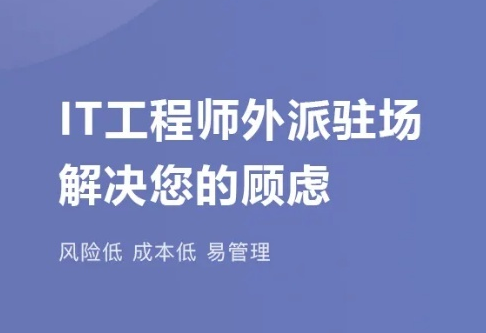 it软件人才外派