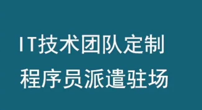 杭州软件人才外派公司